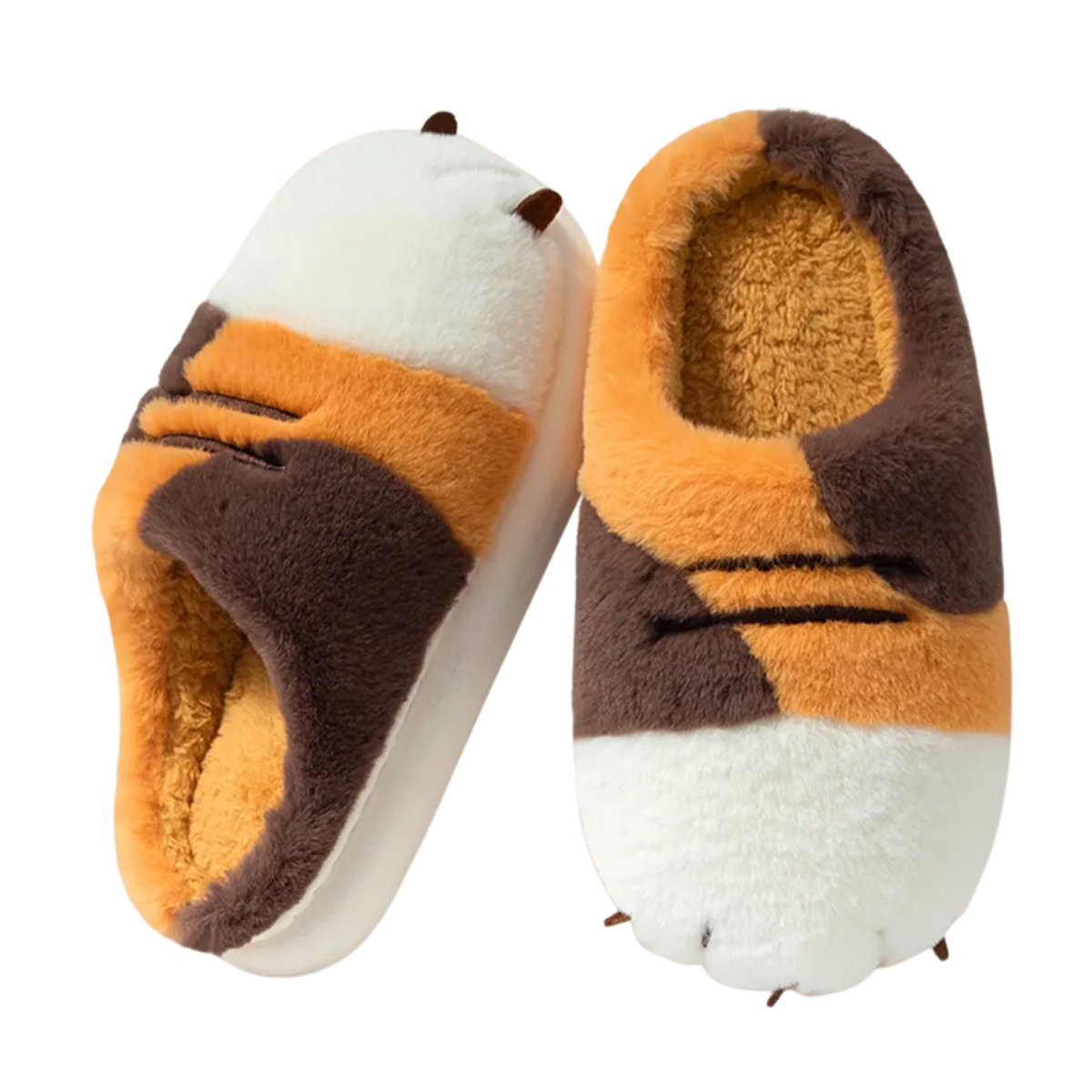 BearClaw Slippers