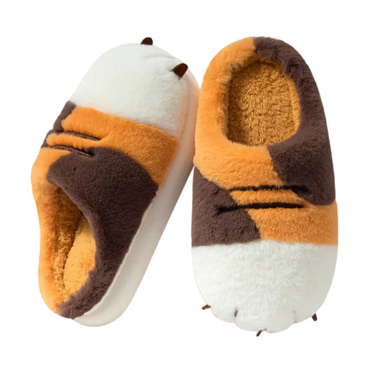 BearClaw Slippers